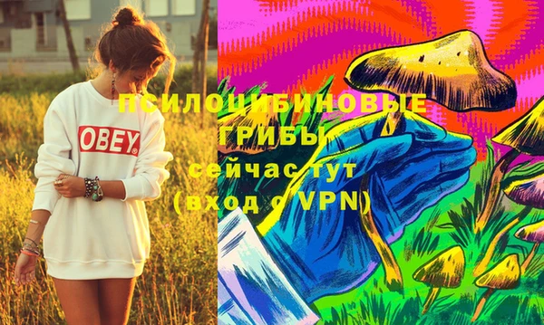 2c-b Белокуриха